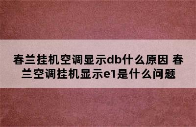 春兰挂机空调显示db什么原因 春兰空调挂机显示e1是什么问题